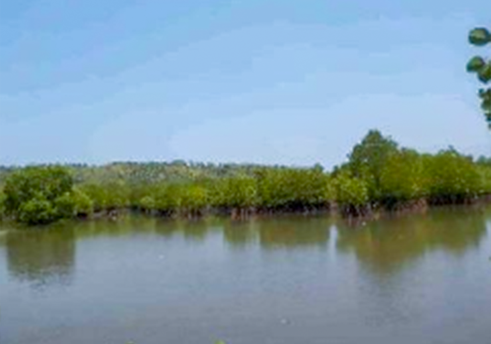 TANAH DI KAB. BULUKUMBA - WOFF793-2 - foto 4